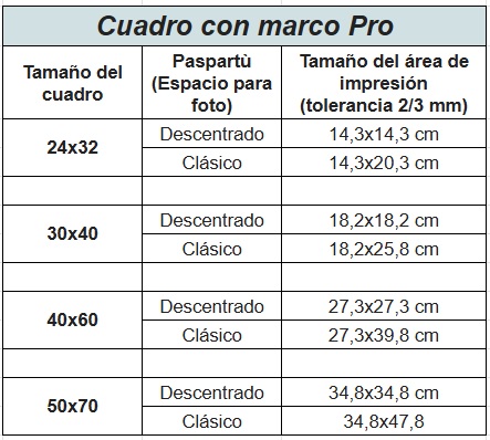 quadro pro-es.jpg