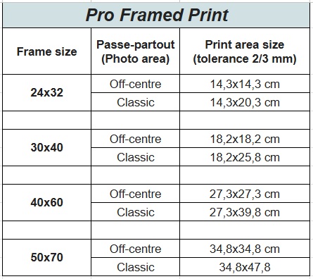quadro pro-en.jpg